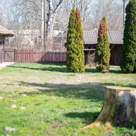 Villa Flora Кішкунмойша Екстер'єр фото