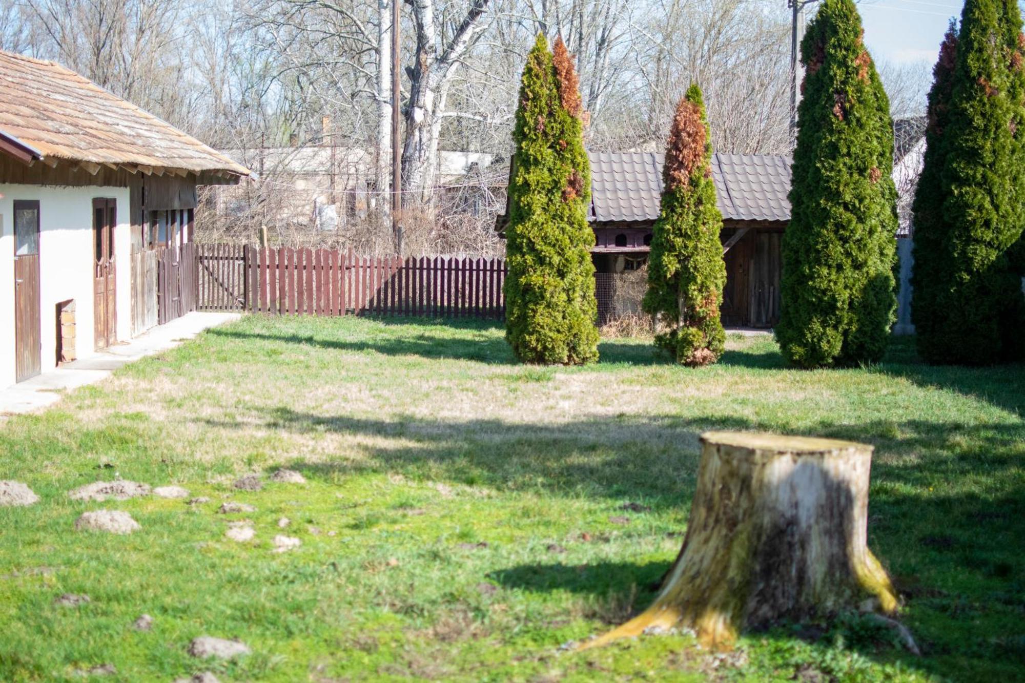 Villa Flora Кішкунмойша Екстер'єр фото